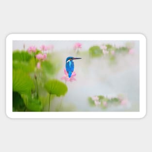 Kingfisher Bird on Pink Lotus Sticker